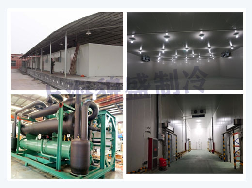 大型低温冷库工程.jpg