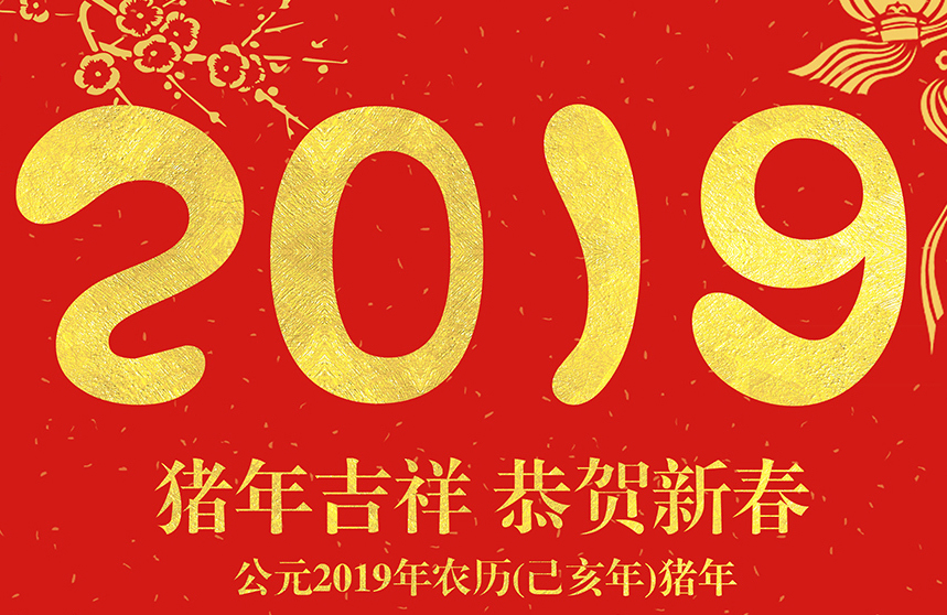 猪年.jpg