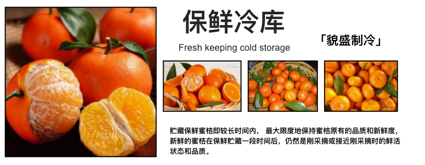 屏幕快照 2019-12-26 上午10.23.28.png